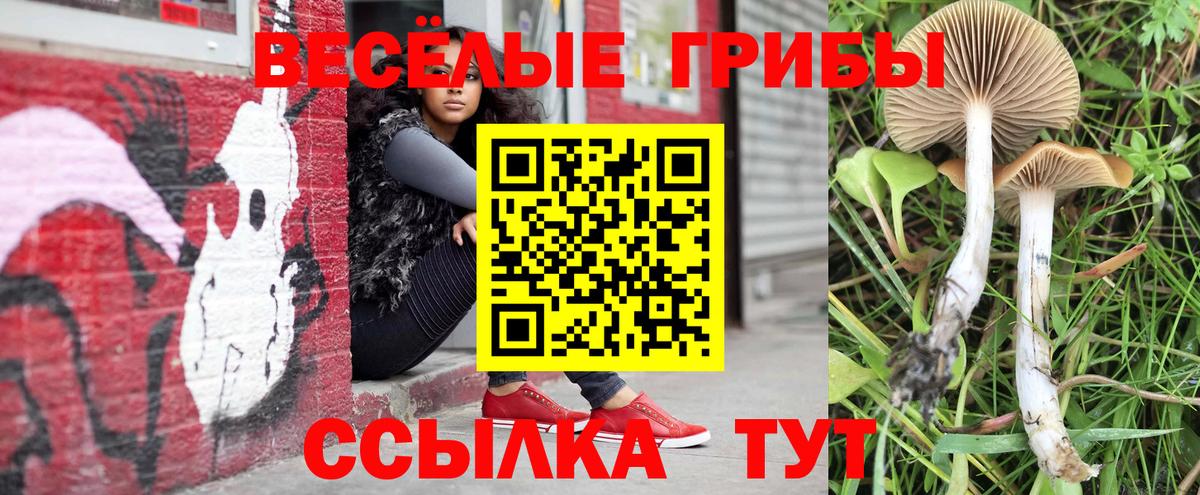 Елабуга  где можно купить   Вход с VPN  Галлюциногенные грибы мицелий 